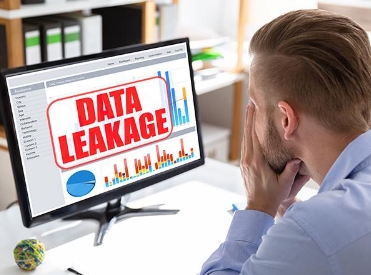 No AI without Data
